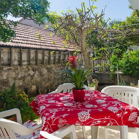 Sunny Apt Perfect For Couple דירה